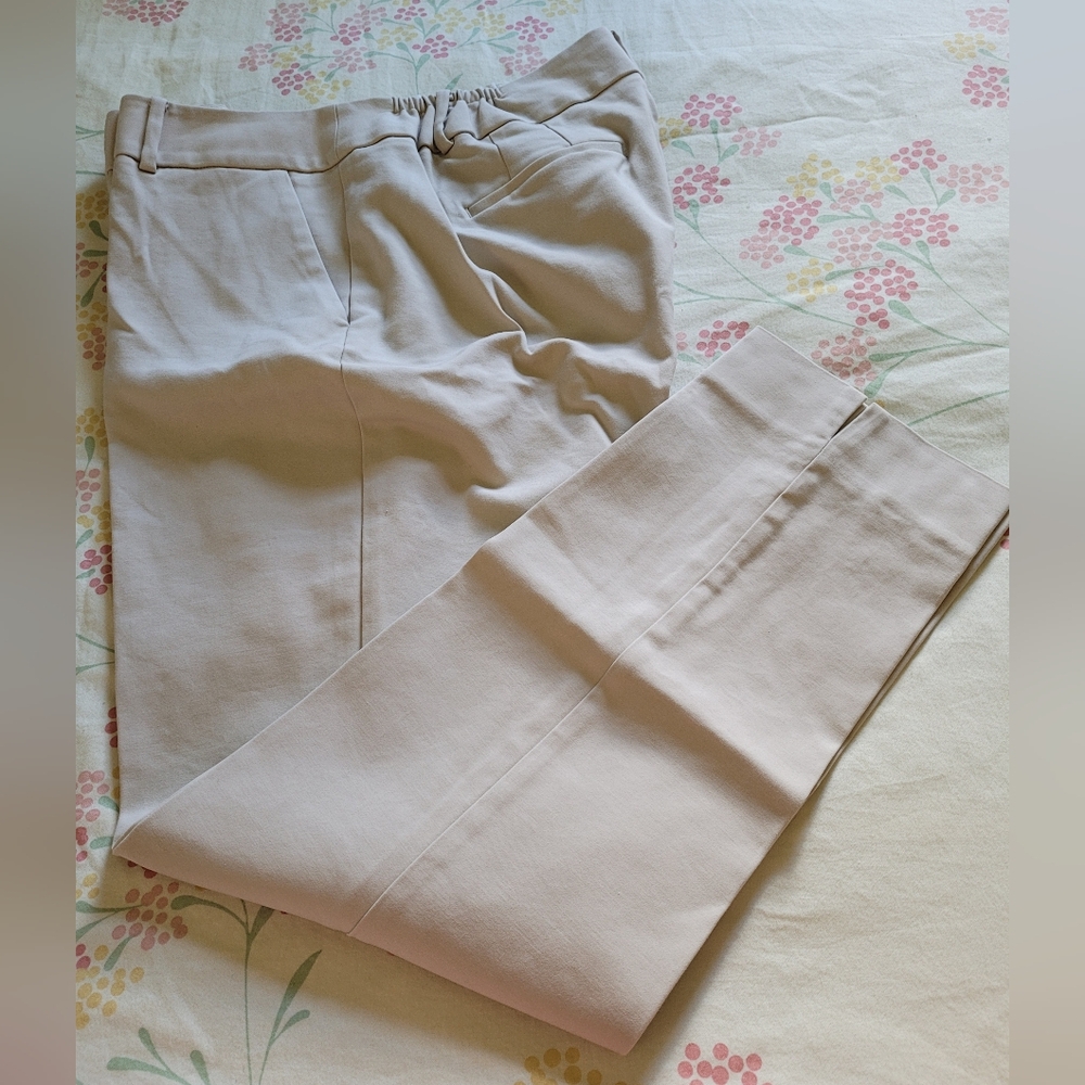 Talbots High-Waisted Hampshire Ankle pants 14W